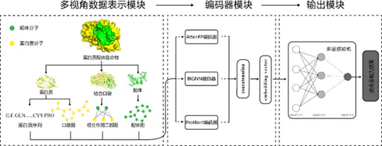 Study on the Structure and Properties of Protein-Ligand Complexes