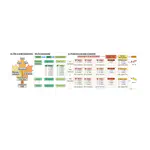 MapLE: Matching Molecular Analogues Promptly with Low Computational Resources by Multi-Metrics Evaluation